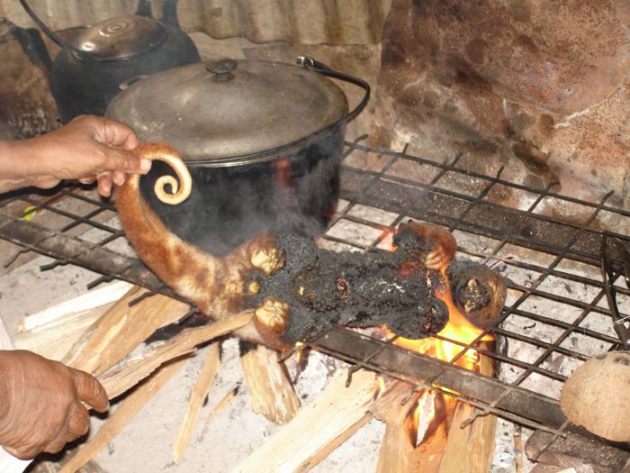00 Braten.jpg